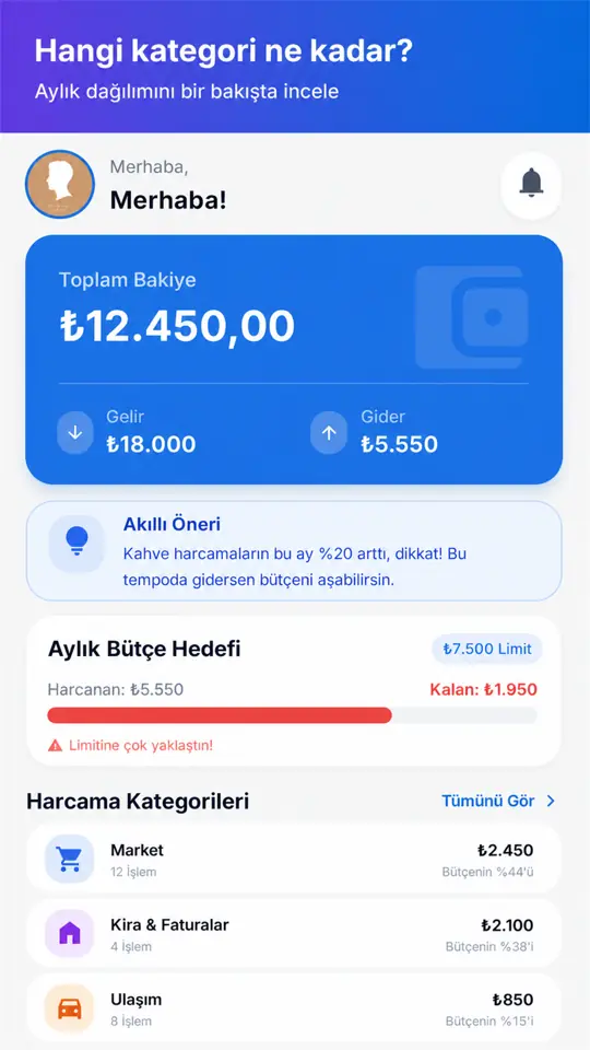 Bütçe Takibi: Kategori analizi